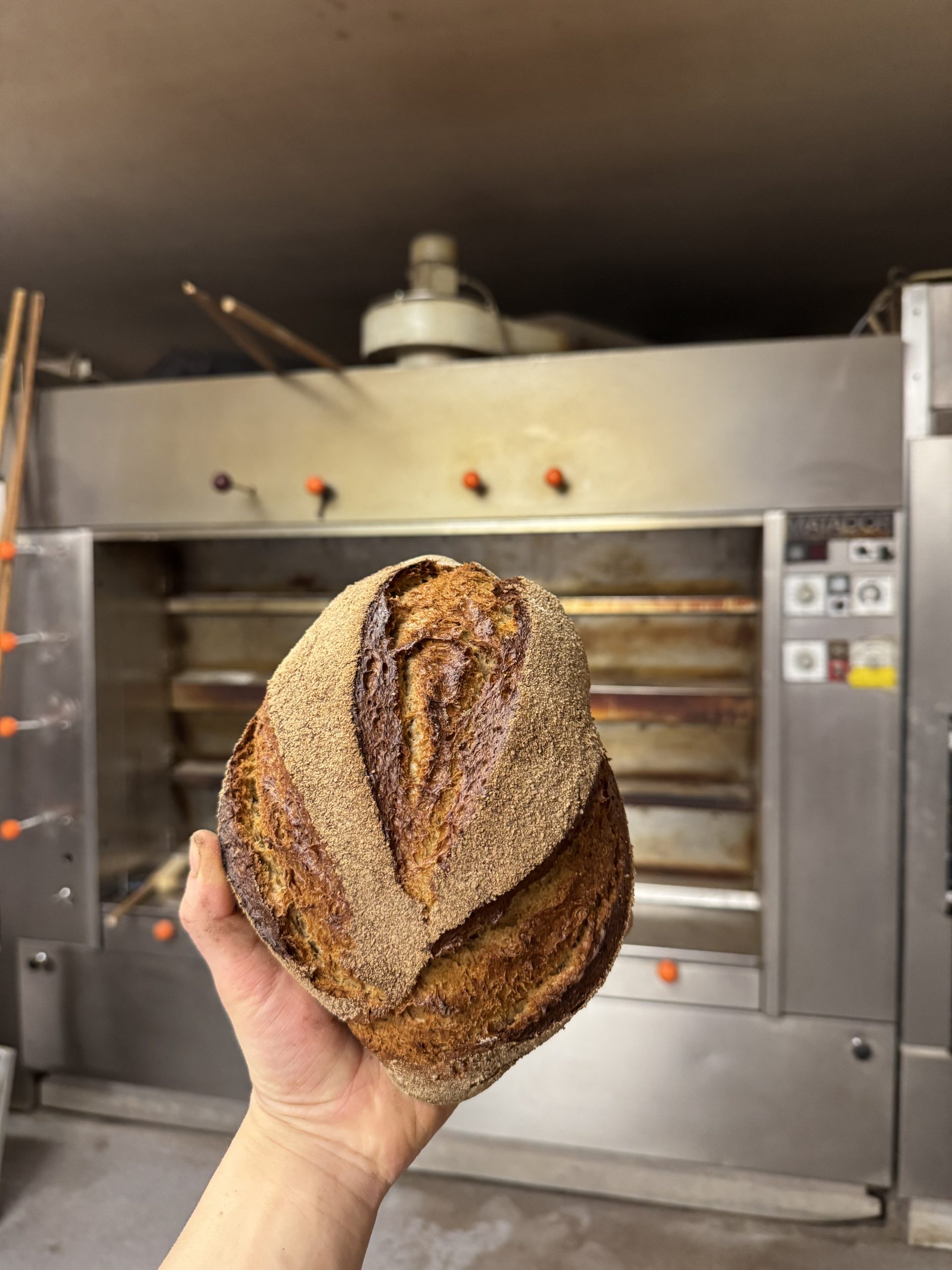 Buchweizen-Dinkel Brot